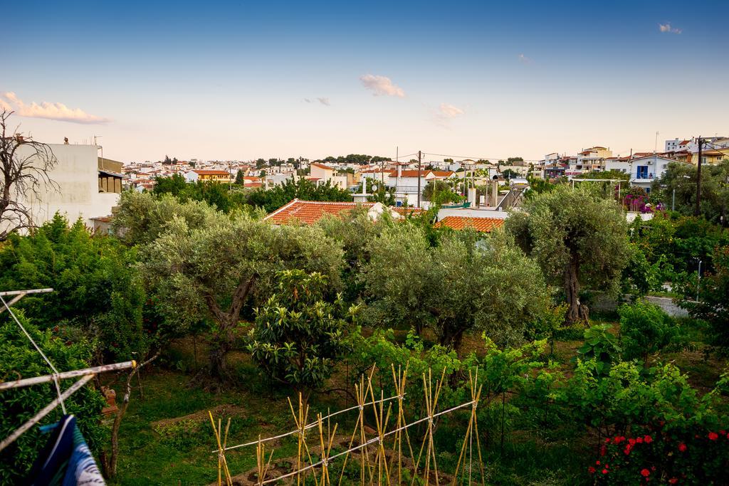 Act Art Skiathos Dış mekan fotoğraf
